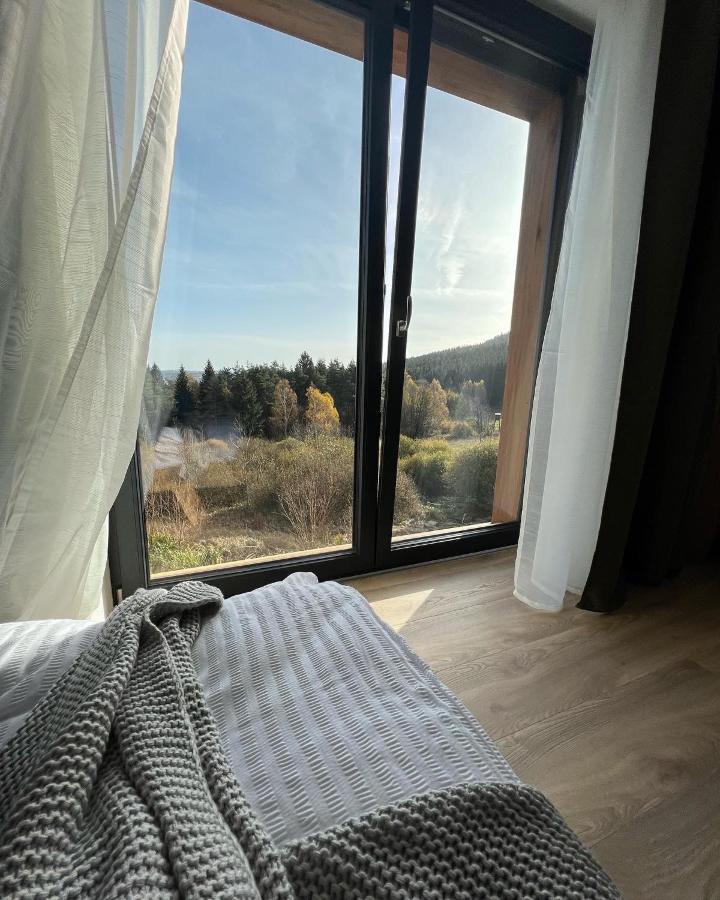 הוילה Loučovice Vila Dvorecna מראה חיצוני תמונה